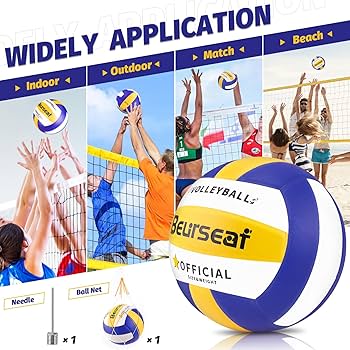 découvrez la premiÚre saison enthousiaste de l'équipe de volley-ball de plage de l'usf, pleine de passion et de moments forts.
