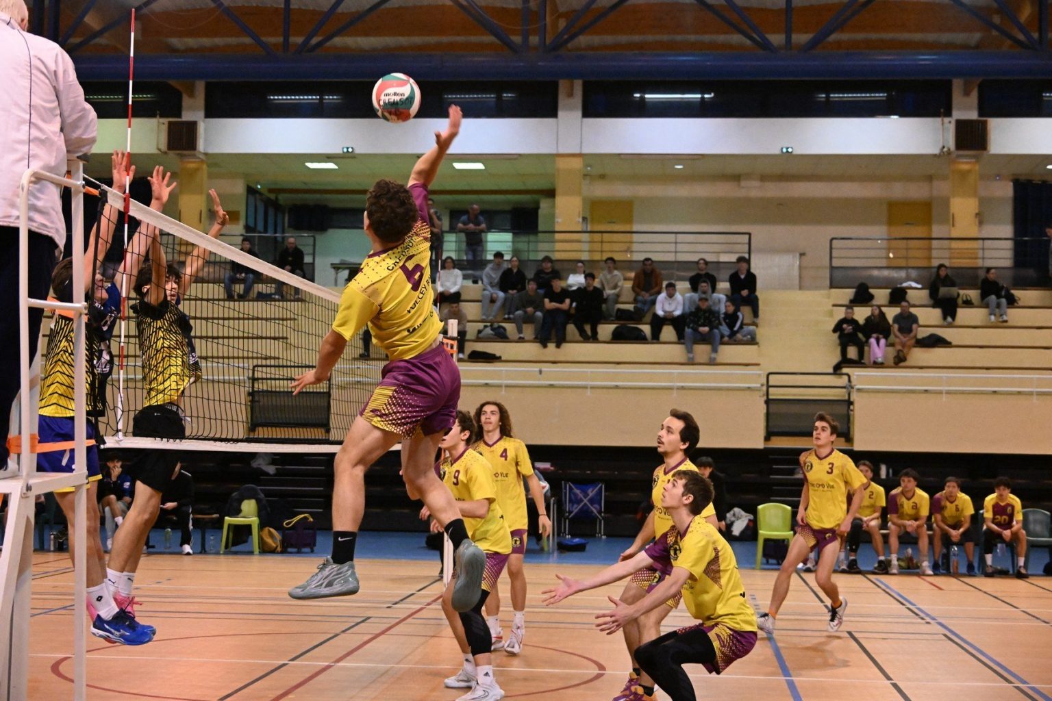 retour sur la défaite de l'équipe masculine de volley-ball face aux bruins : analyse du match, moments clés et réactions des joueurs.